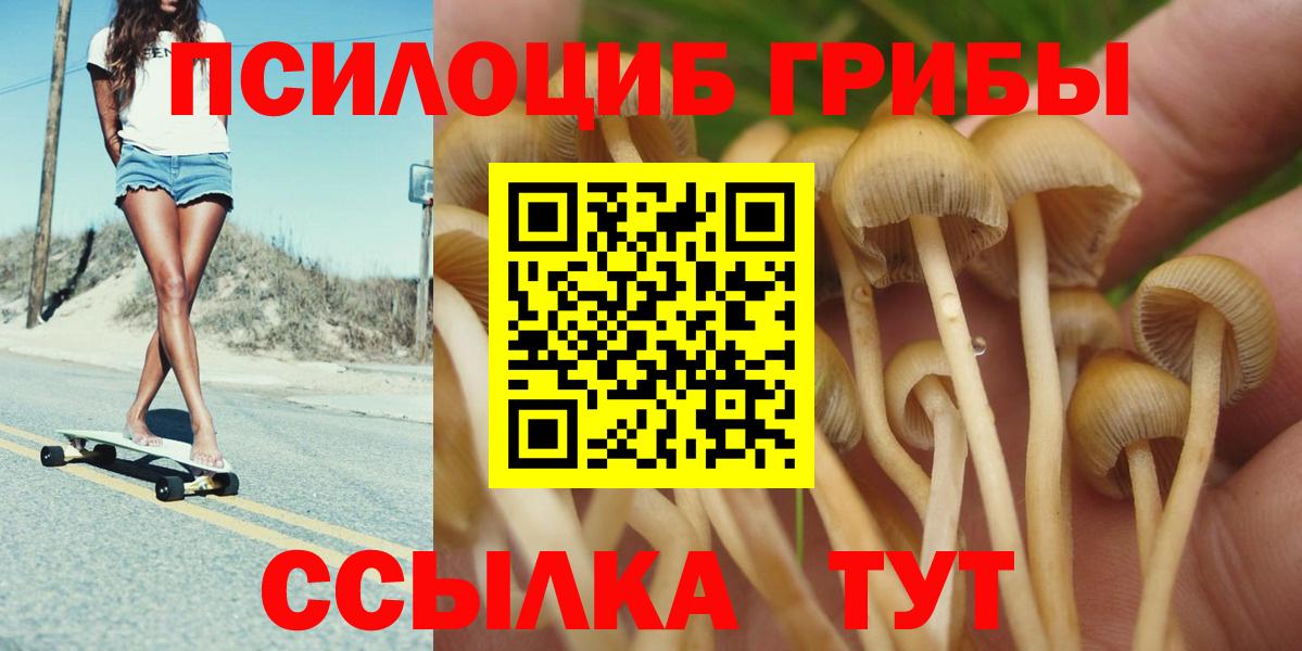 Галлюциногенные грибы GOLDEN TEACHER  Вход с VPN  Армавир 