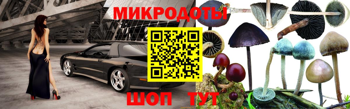 Псилоцибиновые грибы мухоморы Армавир